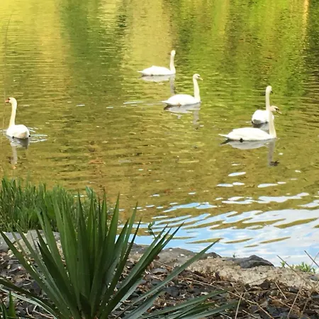 Hankel Hemfurth-Edersee