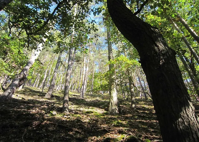 Hankel Сasa de vacaciones *